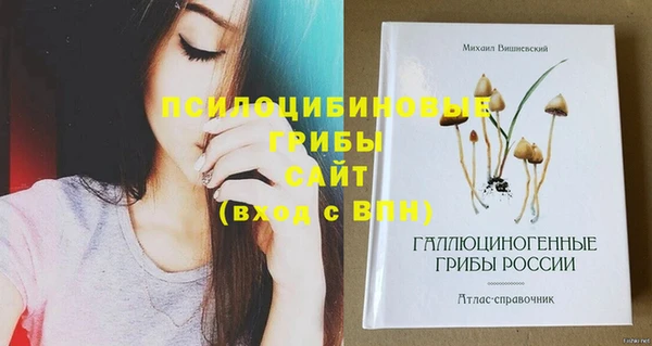 а пвп мука Алзамай