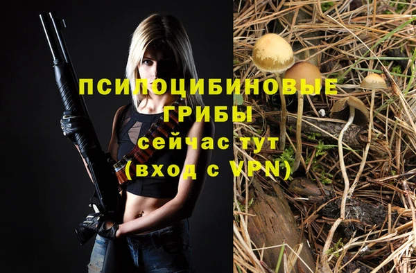 а пвп мука Алзамай
