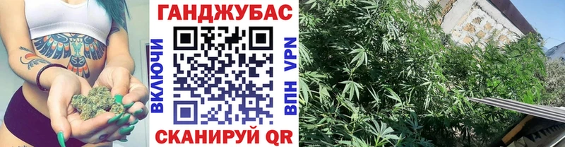 Марихуана SATIVA & INDICA  shop телеграм  Кочубеевское  где продают наркотики 